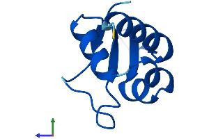 Protein Structure (PS) image for Costars family protein ABRACL (ABRACL) (AA 1-81) protein (Fc Tag) (ABIN7557390)