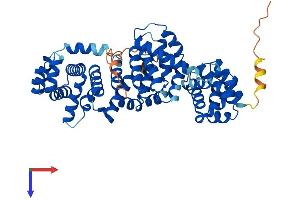 ATP6V1H Protein (AA 1-483) (His tag)