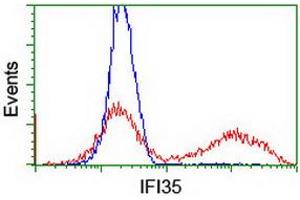 HEK293T cells transfected with either RC200929 overexpress plasmid (Red) or empty vector control plasmid (Blue) were immunostained by anti-IFI35 antibody (ABIN2454904), and then analyzed by flow cytometry. (IFI35 抗体)
