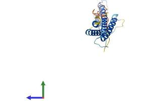 Protein Structure (PS) image for Claudin 15 (CLDN15) (AA 1-228) protein (His tag) (ABIN7553505)