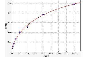 Typical standard curve (Des-gamma-Carboxy-Prothrombin ELISA 试剂盒)