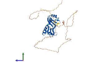 Protein Structure (PS) image for RNA Binding Motif, Single Stranded Interacting Protein 2 (RBMS2) (AA 1-407) protein (His tag) (ABIN7551241)