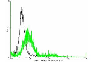 FACS analysis of negative control 293 cells (Black) and TIAM2 expressing 293 cells (Green) using TIAM2 purified MaxPab mouse polyclonal antibody. (TIAM2 抗体  (AA 1-626))