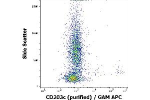 Flow cytometry surface staining pattern of IgE stimulated human peripheral whole blood stained using anti-human CD203c (NP4D6) purified antibody (concentration in sample 2 μg/mL, GAM APC). (ENPP3 抗体)