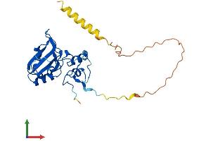 AlphaFold protein structure predicition of Mouse Recombinant Snrnp35 Protein, UniprotID Q9D384