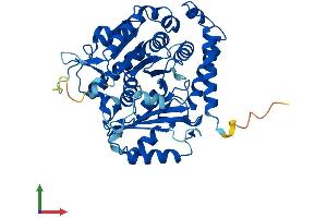 Protein Structure (PS) image for Tubulin, alpha 1B (TUBA1B) (AA 1-451) protein (His tag) (ABIN7562745)