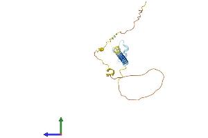 Protein Structure (PS) image for Tumor Necrosis Factor Receptor Superfamily, Member 17 (TNFRSF17) (AA 1-185) protein (His tag) (ABIN7562609)