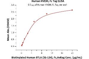 Immobilized Human HVEM, Fc Tag (ABIN2181235,ABIN6253723) at 5 μg/mL (100 μL/well) can bind Biotinylated Human BTLA (31-134), Fc,Avitag (ABIN4949009,ABIN4949010) with a linear range of 0. (HVEM Protein (AA 39-202) (Fc Tag))