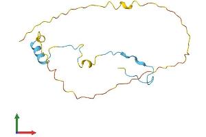 Protein Structure (PS) image for Small Nuclear Ribonucleoprotein 27kDa (U4/U6.U5) (SNRNP27) (AA 1-155) protein (His tag) (ABIN7546069)
