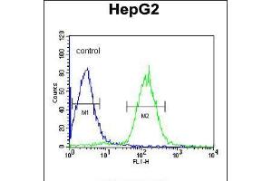 Flow cytometric analysis of HepG2 cells (right histogram) compared to a negative control cell (left histogram). (PLTP 抗体  (C-Term))