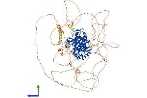 Protein Structure (PS) image for Ubiquitin Specific Peptidase 53 (USP53) (AA 1-1073) protein (His tag) (ABIN7555897)