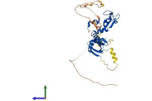 Protein Structure (PS) image for Polycomb Group Ring Finger 2 (PCGF2) (AA 1-342) protein (His tag) (ABIN7562985)