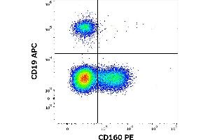 Flow cytometry multicolor surface staining of human lymphocytes stained using anti-human CD160 (BY55) PE antibody (10 μL reagent / 100 μL of peripheral whole blood) and anti-human CD19 (LT19) APC antibody (10 μL reagent / 100 μL of peripheral whole blood). (CD160 抗体  (PE))