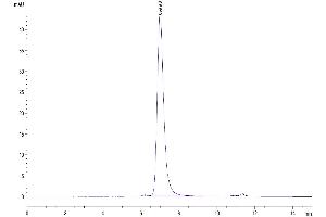 The purity of Human VSIG4 is greater than 95 % as determined by SEC-HPLC. (VSIG4 Protein (AA 20-283) (His tag))