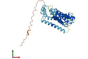Protein Structure (PS) image for Rhomboid, Veinlet-Like 2 (RHBDL2) (AA 1-302) protein (His tag) (ABIN7561907)