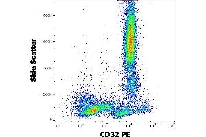 Flow cytometry surface staining pattern of human peripheral whole blood stained using anti-human CD32 (3D3) PE antibody (10 μL reagent / 100 μL of peripheral whole blood). (Fc gamma RII (CD32) 抗体 (PE))