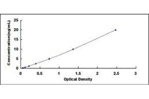 Typical standard curve (PCDH15 ELISA 试剂盒)