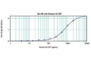 Image no. 1 for anti-Colony Stimulating Factor 1 (Macrophage) (CSF1) antibody (Biotin) (ABIN465550) (M-CSF/CSF1 抗体  (Biotin))
