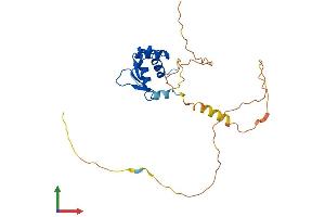 Protein Structure (PS) image for FEV (ETS Oncogene Family) (FEV) (AA 1-237) protein (His tag) (ABIN7559601)