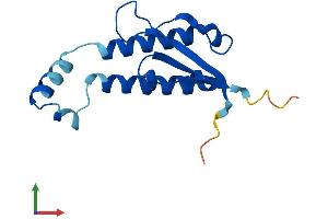 Protein Structure (PS) image for Golgin A7 (GOLGA7) (AA 1-137) protein (His tag) (ABIN7548148)