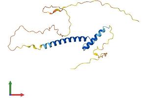 AlphaFold protein structure predicition of Human Recombinant MSC Protein, UniprotID O60682 (Musculin Protein (MSC) (AA 1-206) (His tag))
