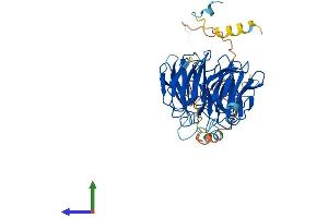 AlphaFold protein structure predicition of Human Recombinant FZR1 Protein, UniprotID Q9UM11