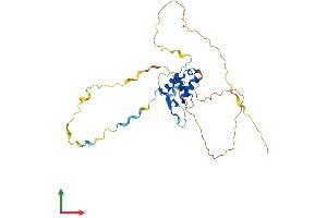 Protein Structure (PS) image for Forkhead Box E3 (FOXE3) (AA 1-288) protein (His tag) (ABIN7561772)