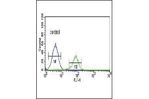 Flow Cytometry (FACS) image for anti-Proprotein Convertase Subtilisin/kexin Type 2 (PCSK2) (AA 87-116), (N-Term) antibody (ABIN391908)