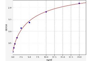 Typical standard curve (CAPN1 ELISA 试剂盒)