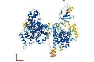 AlphaFold protein structure predicition of Mouse Recombinant Sgsm3 Protein, UniprotID Q8VCZ6 (SGSM3 Protein (AA 1-750) (His tag))