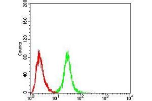 Flow cytometric analysis of Hela cells using OTUD4 mouse mAb (green) and negative control (red). (OTUD4 抗体  (AA 815-1049))