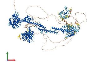 Protein Structure (PS) image for Glucocorticoid Receptor DNA Binding Factor 1 (GRLF1) (AA 1-1499) protein (His tag) (ABIN7555186)