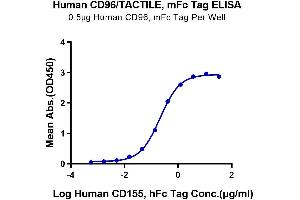 ELISA image for CD96 (CD96) (AA 22-503) protein (mFc Tag) (ABIN7274270)