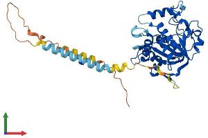 Protein Structure (PS) image for ST6 (Alpha-N-Acetyl-Neuraminyl-2,3-beta-Galactosyl-1,3)-N-Acetylgalactosaminide alpha-2,6-Sialyltransferase 4 (ST6GALNAC4) (AA 1-360) protein (His tag) (ABIN7556233)