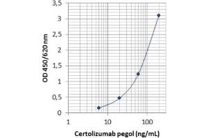 Image no. 2 for Certolizumab Pegol specific ELISA Kit (ABIN3219142) (Certolizumab Pegol specific ELISA 试剂盒)