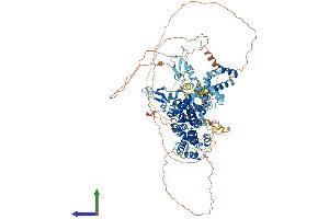 AlphaFold protein structure predicition of Human Recombinant ZBED6 Protein, UniprotID P86452 (Zinc Finger, BED-Type Containing 6 (ZBED6) (AA 1-979) protein (His tag))