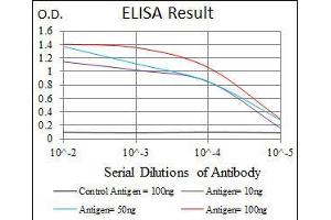 Black line: Control Antigen (100 ng), Purple line: Antigen(10 ng), Blue line: Antigen (50 ng), Red line: Antigen (100 ng), (Thrombopoietin 抗体)