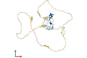 Protein Structure (PS) image for ZFP36 Ring Finger Protein-Like 1 (ZFP36L1) (AA 1-338) protein (His tag) (ABIN7544558)