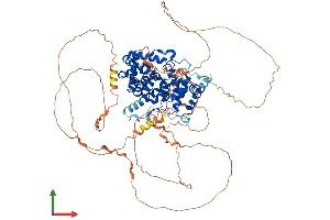 AlphaFold protein structure predicition of Human Recombinant USP6NL Protein, UniprotID Q92738 (USP6NL Protein (AA 1-828) (His tag))