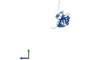 Protein Structure (PS) image for C-Type Lectin Domain Family 2, Member D (CLEC2D) (AA 1-207) protein (His tag) (ABIN7559969)
