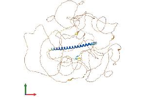 Protein Structure (PS) image for TSC22 Domain Family, Member 1 (TSC22D1) (AA 1-1073) protein (His tag) (ABIN7555730)