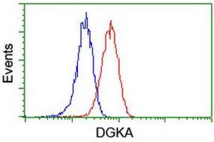 Flow cytometric Analysis of Jurkat cells, using anti-DGKA antibody (ABIN2455398), (Red), compared to a nonspecific negative control antibody, (Blue). (DGKA 抗体)