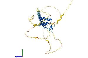 Protein Structure (PS) image for H6 Family Homeobox 2 (HMX2) (AA 1-273) protein (His tag) (ABIN7563266)