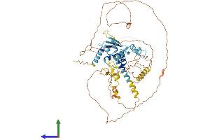 Protein Structure (PS) image for Zinc Finger Protein 340 (ZNF340) (AA 1-589) protein (His tag) (ABIN7545718)