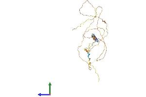 AlphaFold protein structure predicition of Human Recombinant JSRP1 Protein, UniprotID Q96MG2