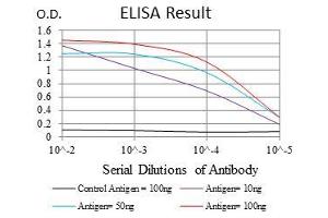 Black line: Control Antigen (100 ng), Purple line: Antigen(10 ng), Blue line: Antigen (50 ng), Red line: Antigen (100 ng), (RING1 抗体  (AA 79-263))