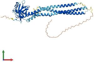 Protein Structure (PS) image for Protein Interacting With Protein Kinase C, alpha 1 (PICK1) (AA 1-415) protein (His tag) (ABIN7554926)