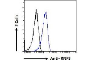 ABIN184931 Flow cytometric analysis of paraformaldehyde fixed HeLa cells (blue line), permeabilized with 0. (RNF8 抗体  (N-Term))