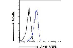ABIN184931 Flow cytometric analysis of paraformaldehyde fixed HeLa cells (blue line), permeabilized with 0.