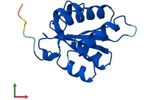 AlphaFold protein structure predicition of Human Recombinant SNU13 Protein, UniprotID P55769